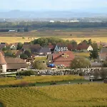 Les Cepages