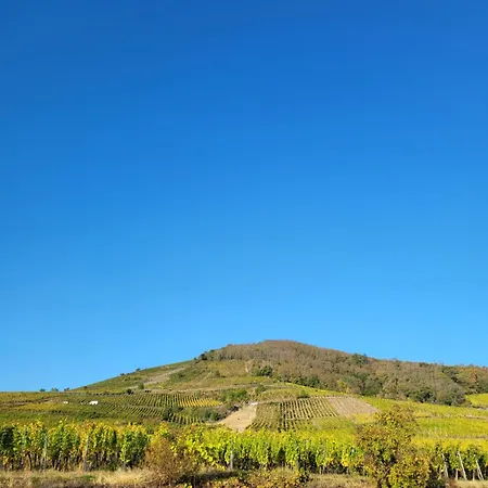 Tatil Evi Cepages Kaefferkopf