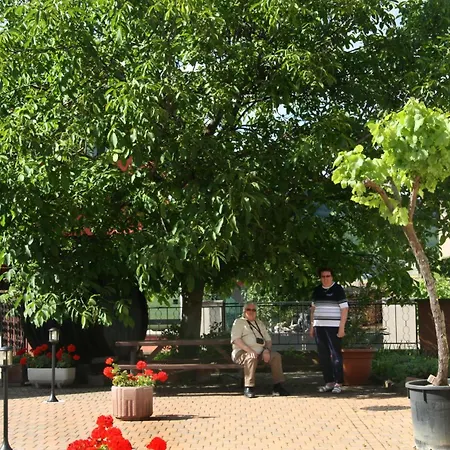 Les Cepages * Ammerschwihr