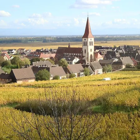 Les Cepages Dom wakacyjny Ammerschwihr